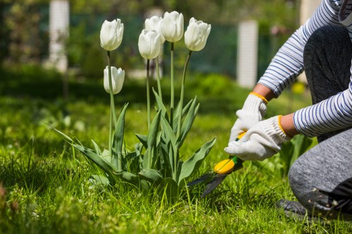 Gardener assisting a customer with mobility-friendly garden features