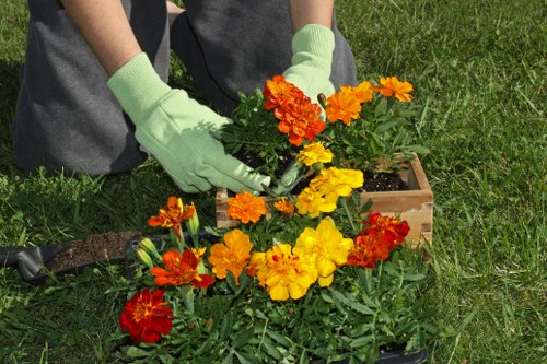 A person wearing light green gardening gloves is tending to a vibrant flower bed in an outdoor garden, with colourful marigolds and other flowering plants arranged in a wooden container. The garden features a well-maintained grassy area with lush green turf, and the background suggests a sunny day with natural daylight illuminating the scene. The individual is carefully handling the plants, indicating work in planting or maintaining the flower bed, which adds colour and visual interest to the landscaped space. The setting appears to be part of a residential garden, aligned with professional gardening services in Carshalton, with attention to planting details and outdoor presentation.