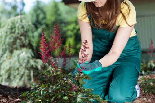 Photo representing secure online payment for gardening services in Carshalton
